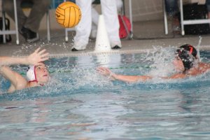 12119166_964502183596566_7620069785575423255_n