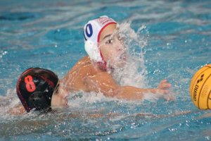 12122690_964502433596541_6017892645167462896_n