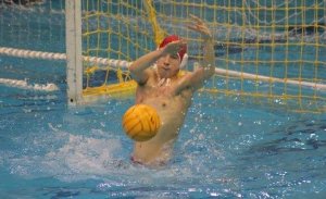 12900109_1105439262821134_1927855382_n