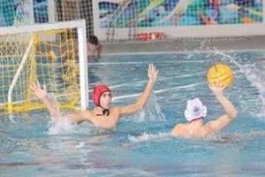 12900261_1742505299294379_1509435372_n